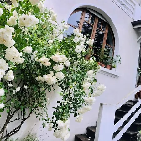 Maison De Charme Avec Piscine Pres Du Lac *